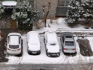 MSG0074님의 자유주제 · 자유게시판 작성글 사진