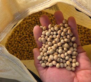 계수연님의 기타작물 · 자유게시판 작성글 사진