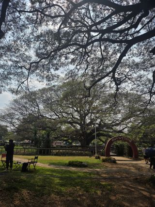 최동수님의 자유주제 · 자유게시판 작성글 사진