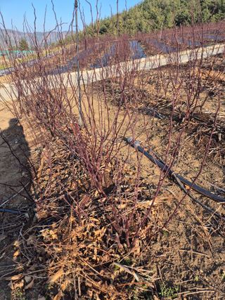 들깨15628님의 자유주제 · 자유게시판 작성글 사진