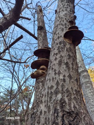 박성균님의 자유주제 · 자유게시판 작성글 사진
