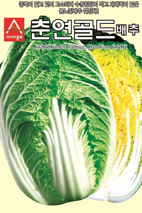 씨앗드림님의 장터 판매 상품 [봄배추 춘연골드 2000립] 첨부 사진
