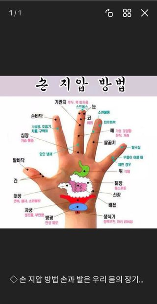동길니우스님의 작성글 사진
