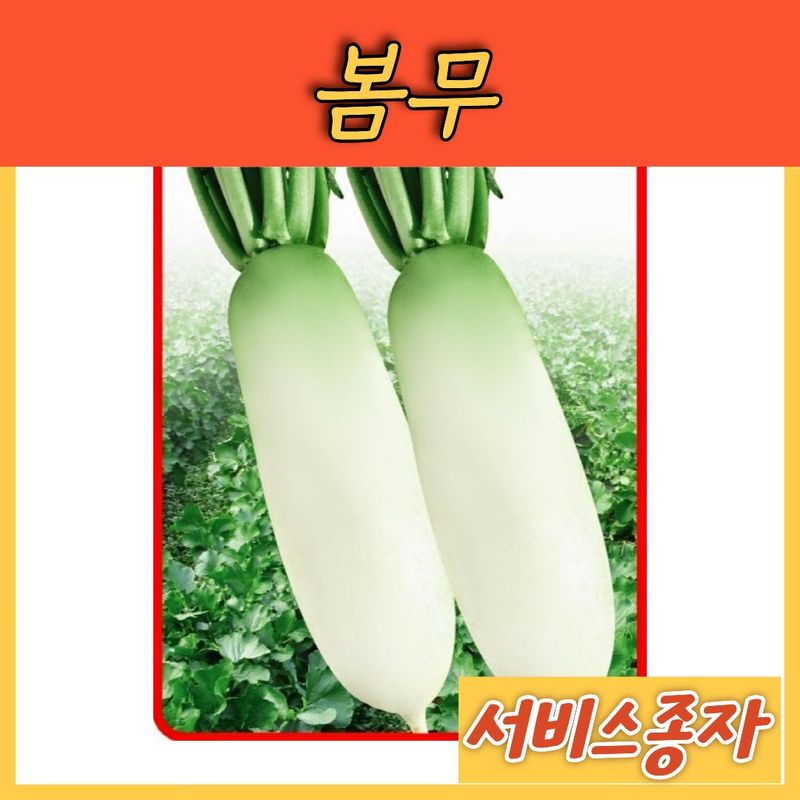 장터 상품 [봄무 6그램] 썸네일