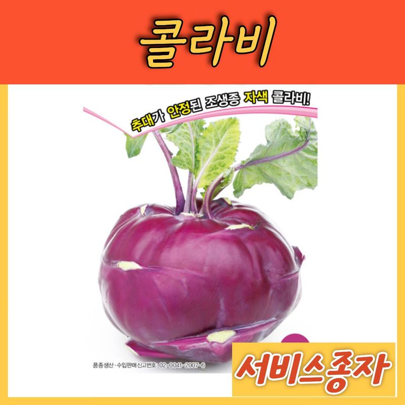 장터 상품 [콜라비 루비캡 100립] 썸네일