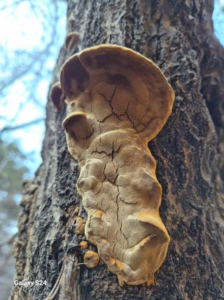 박성균님의 자유주제 · 자유게시판 작성글 사진