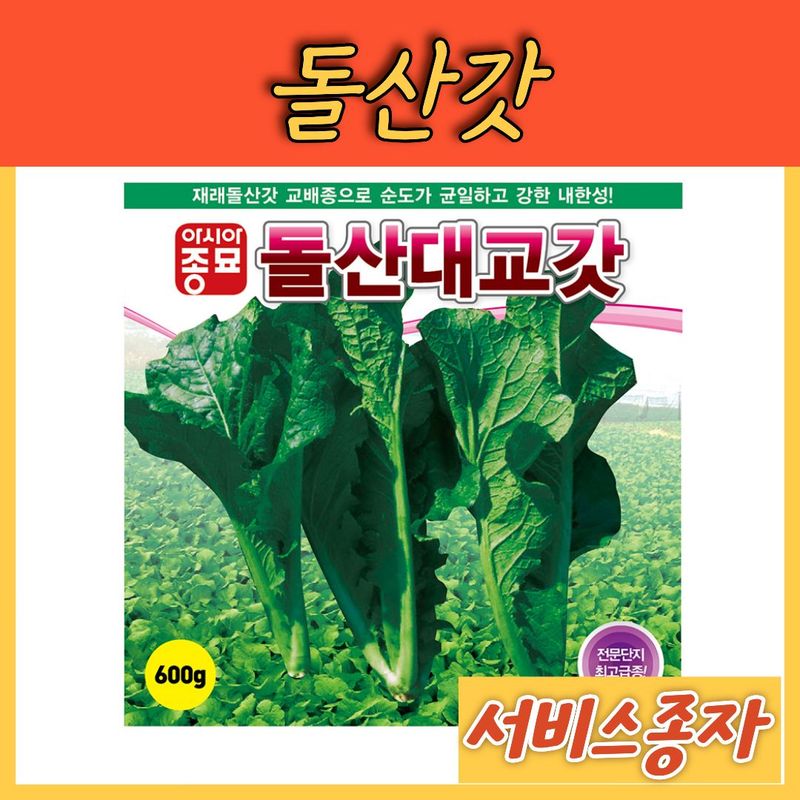 장터 상품 [돌산갓 전문농가용 7그램] 썸네일