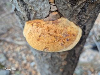 박성균님의 자유주제 · 자유게시판 작성글 사진