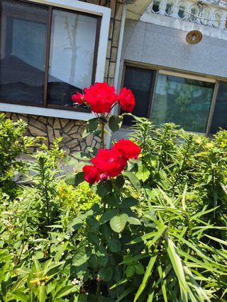 귤19190님의 작성글 사진