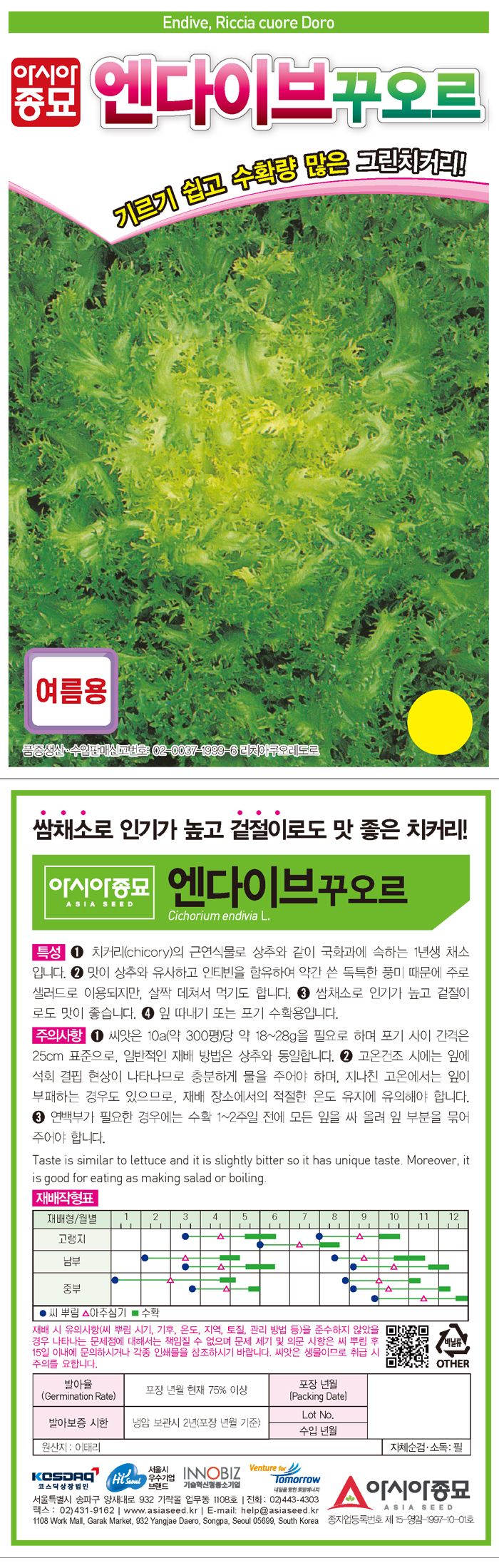 씨앗드림님의 장터 판매 상품 [청치커리 여름용 1500립] 첨부 사진