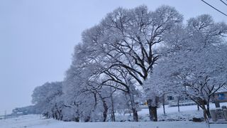 이정운님의 자유주제 · 자유게시판 작성글 사진