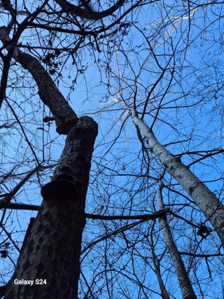 박성균님의 자유주제 · 자유게시판 작성글 사진