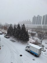 팜모닝 자유주제·자유게시판 게시글 이미지