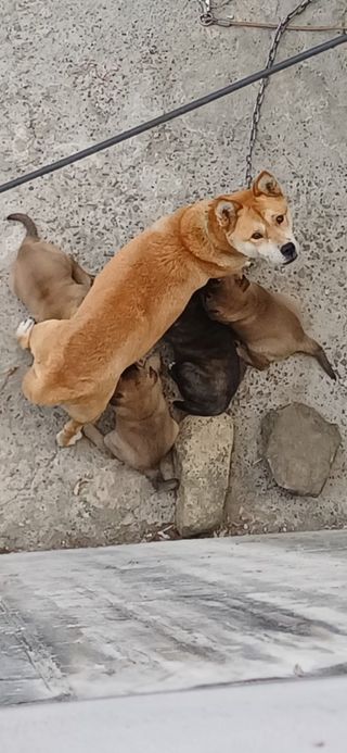 초보퍼머5도2촌준비님의 자유주제 · 자유게시판 작성글 사진