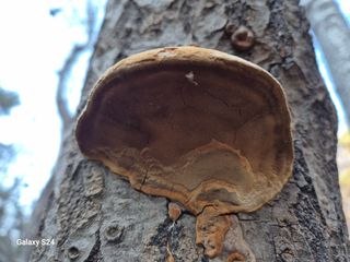 박성균님의 자유주제 · 자유게시판 작성글 사진