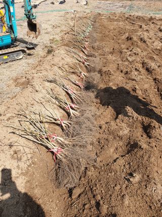 형제들농원님의 작성글 사진