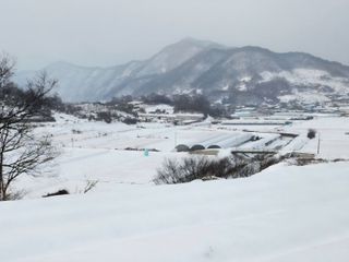 MSG0074님의 자유주제 · 자유게시판 작성글 사진