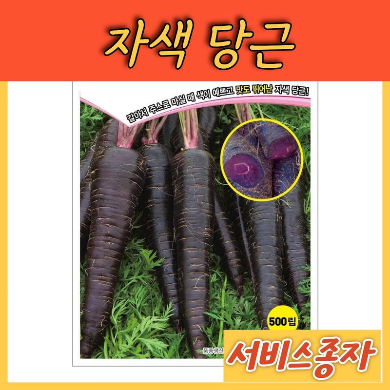 장터 상품 [자색 당근 500립] 썸네일