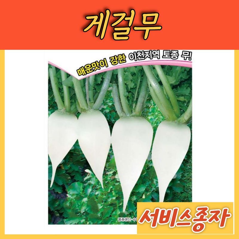 장터 상품 [게걸무 300립] 썸네일