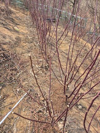 들깨15628님의 자유주제 · 자유게시판 작성글 사진