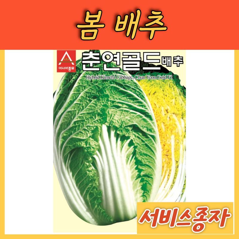 장터 상품 [봄배추 춘연골드 2000립] 썸네일