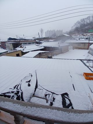 이영자 님의 자유주제 · 자유게시판 작성글 사진
