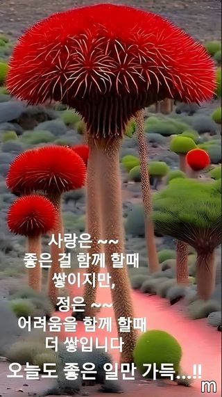 SOUL님의 자유주제 · 자유게시판 작성글 사진