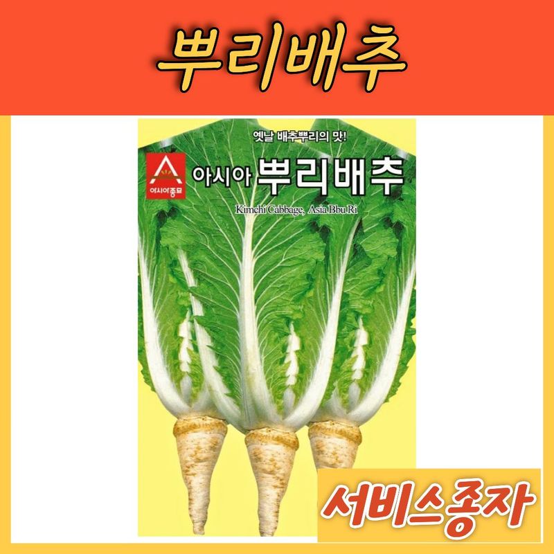 장터 상품 [뿌리배추 2000립] 썸네일