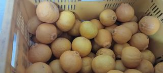 김수나님의 작성글 사진