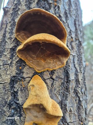 박성균님의 자유주제 · 자유게시판 작성글 사진