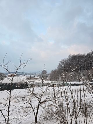 소병찬님의 자유주제 · 자유게시판 작성글 사진