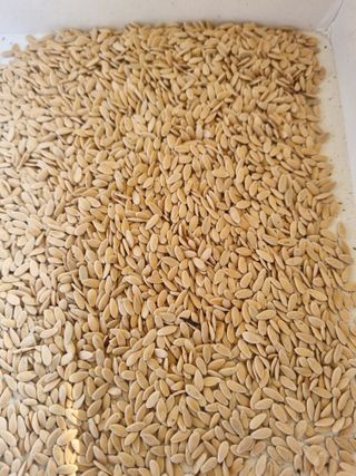 논산푸른팜님의 자유주제 · 자유게시판 작성글 사진