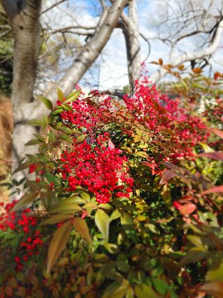 행복한일상님의 자유주제 · 자유게시판 작성글 사진