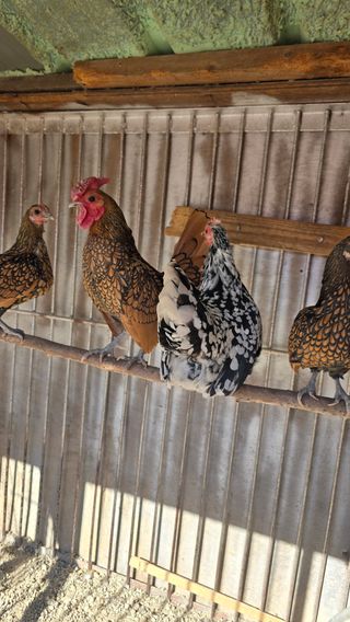 김문규님의 작성글 사진