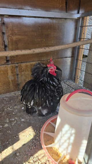 김문규님의 작성글 사진