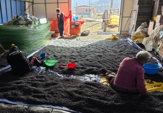 이동준님의 작성글 사진