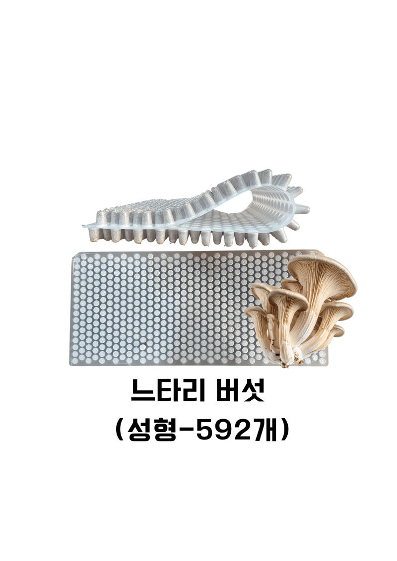 장터 상품 [[느타리종균] 592공 성형종균] 썸네일