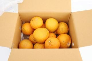 새달귤농장님의 작성글 사진