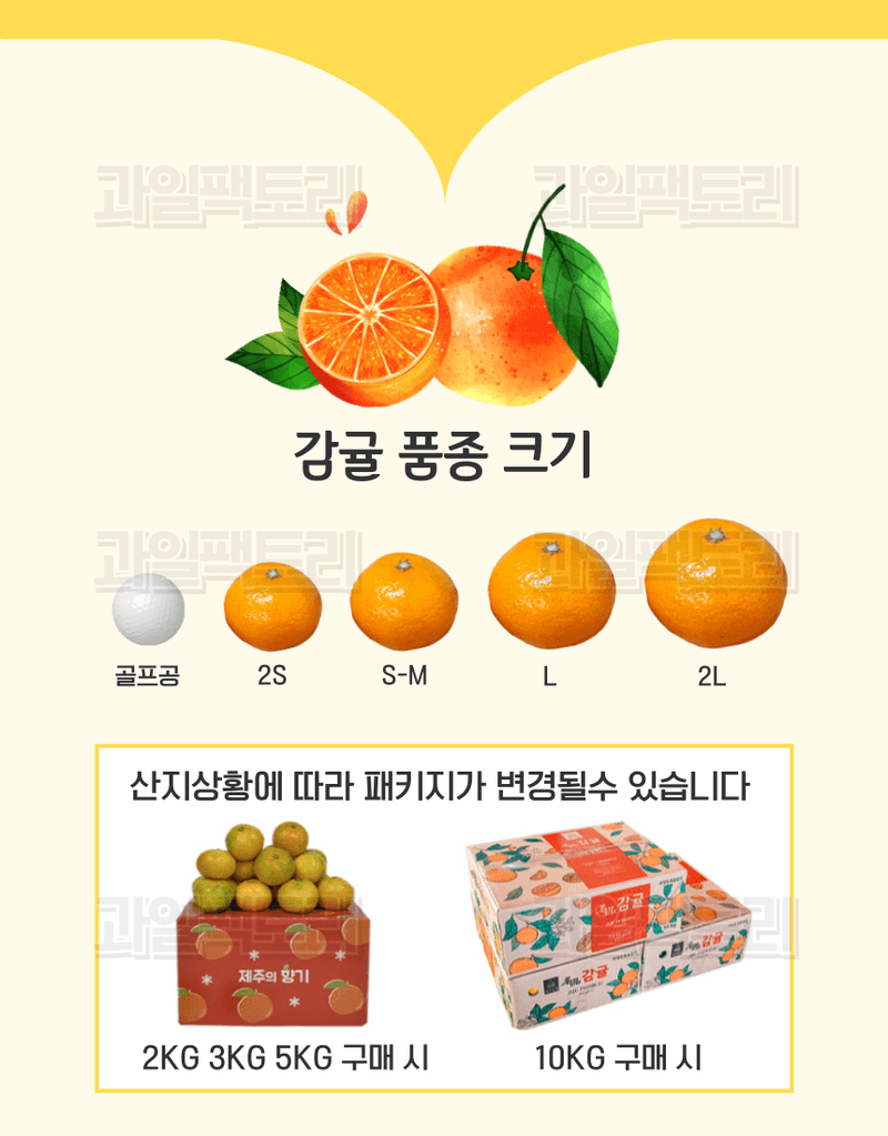 과일팩토리님의 장터 판매 상품 [[한정판매] 제주산 귤 조생감귤 고당도 로얄과/소과 한정특가] 첨부 사진