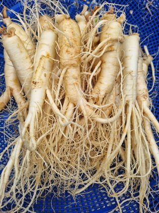 모두팜님의 작성글 사진