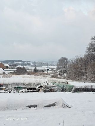 소병찬님의 자유주제 · 자유게시판 작성글 사진