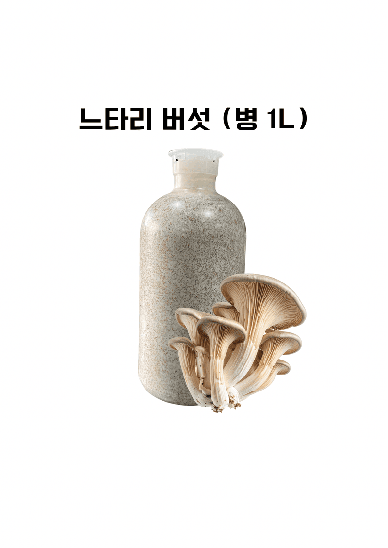 한농농약종묘사님의 장터 판매 상품 [[느타리종균] 1병 ] 첨부 사진