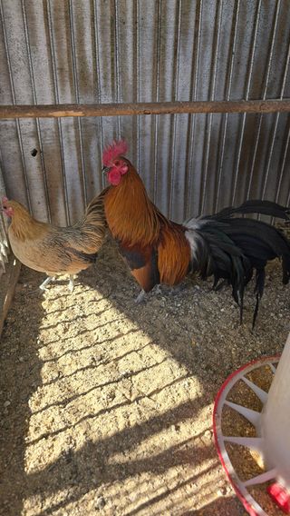 김문규님의 작성글 사진