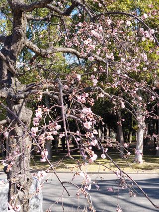 행복한일상님의 자유주제 · 자유게시판 작성글 사진
