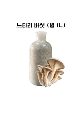 팜모닝 · 게시글 이미지