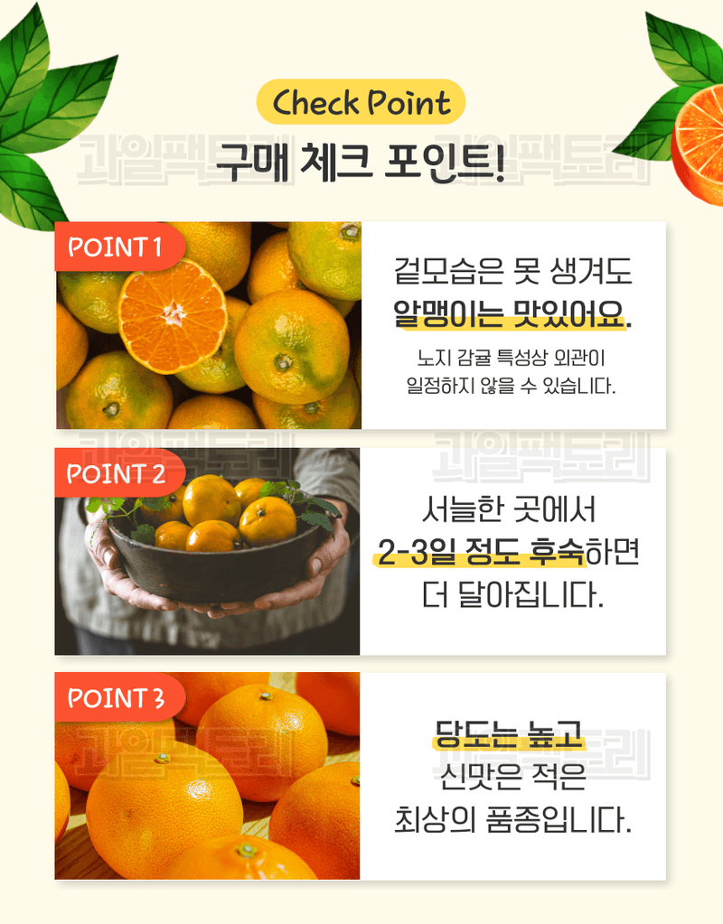 과일팩토리님의 장터 판매 상품 [[한정판매] 제주산 귤 조생감귤 고당도 로얄과/소과 한정특가] 첨부 사진