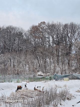 소병찬님의 자유주제 · 자유게시판 작성글 사진
