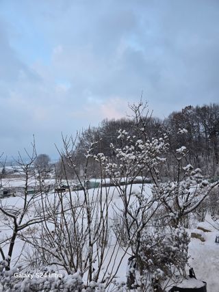소병찬님의 자유주제 · 자유게시판 작성글 사진