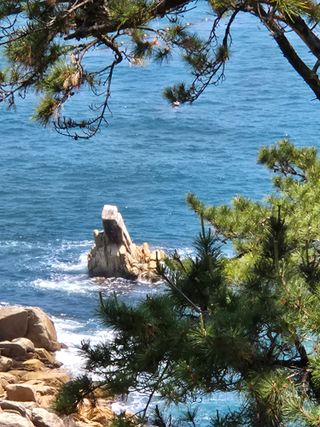 김상진님의 자유주제 · 자유게시판 작성글 사진