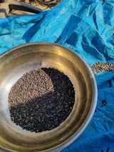 팜모닝 자유주제·자유게시판 게시글 이미지